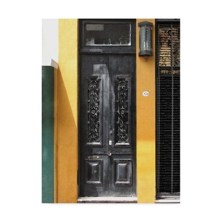Golie Miamee 'Doors Abroad Ii' Canvas Art,18x24